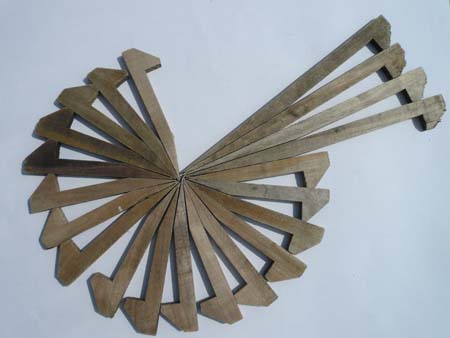 spin 2009