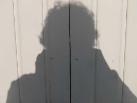 Shadow 2009